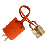 Hermès 20cm Birkin Sellier Faubourg House Rainy Day Jour de Pluie Permabrass Hardware