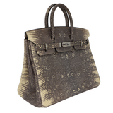 Hermès 25cm Birkin Ombre Lizard Palladium Hardware