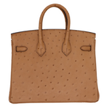 Hermès 25cm Birkin Chai Ostrich Gold Hardware