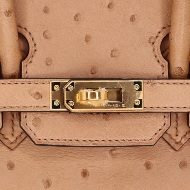 Hermès 25cm Birkin Chai Ostrich Gold Hardware