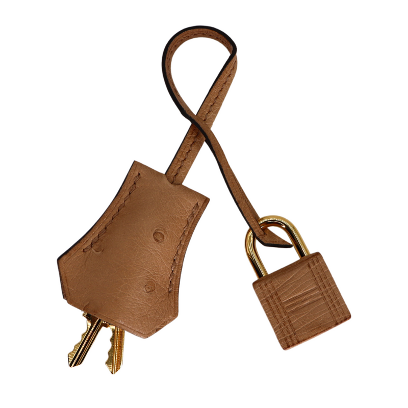 Hermès 25cm Birkin Chai Ostrich Gold Hardware