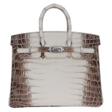 Hermès 25cm Birkin Blanc Himalayan Palladium Hardware