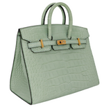 Hermès 20cm Birkin Sellier Vert D'eau Matte Alligator Gold Hardware