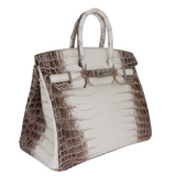 Hermès 25cm Birkin Blanc Himalayan Palladium Hardware
