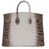 Hermès 25cm Birkin Blanc Himalayan Palladium Hardware