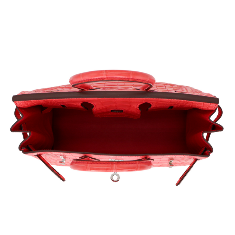 Hermès 25cm Birkin Bougainvillea Matte Alligator Palladium Hardware