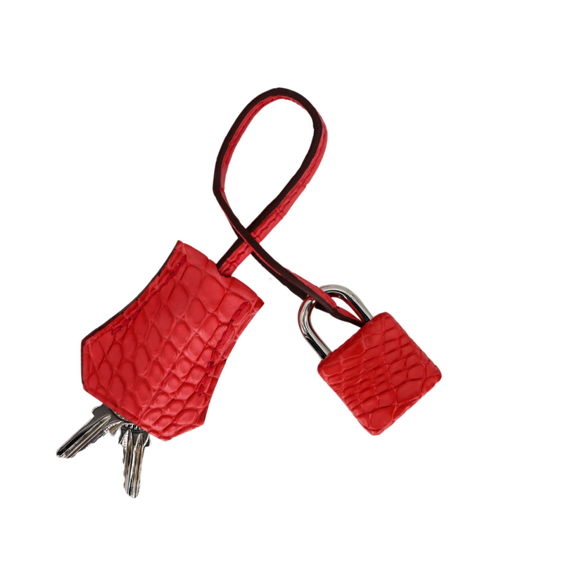 Hermès 25cm Birkin Bougainvillea Matte Alligator Palladium Hardware