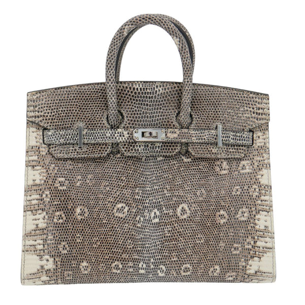 Herm�s 20cm Birkin Sellier Ombr√© Lizard Palladium Hardware