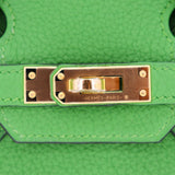 Herm�s 25cm Birkin Vert Yucca Togo Leather Gold Hardware