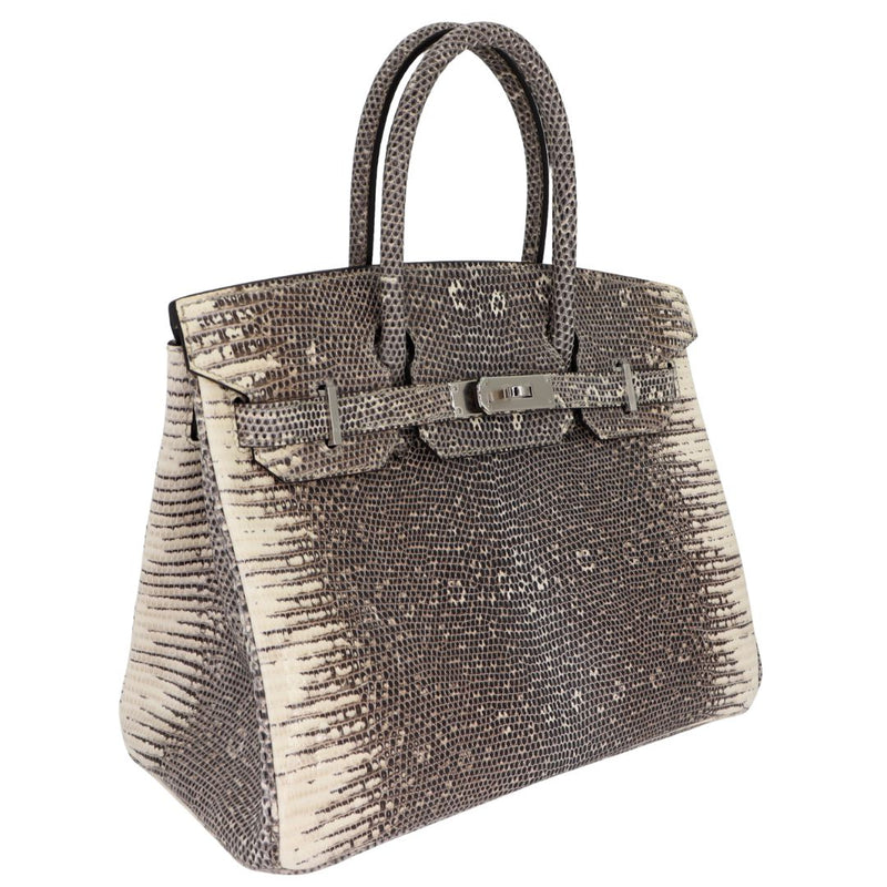 Herm�s 30cm Birkin Ombr√© Lizard Palladium Hardware