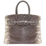 Herm�s 30cm Birkin Ombr√© Lizard Palladium Hardware